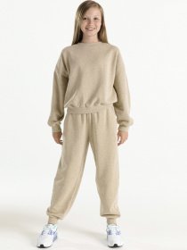 Свитшот NIKE Sportswear Icon модель DQ9002-250 Фото