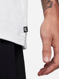 Футболка NIKE SB Skate модель DB9975-100 Фото