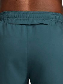 Спортивні штани NIKE Dri-FIT Challenger модель DD4894-309 Фото