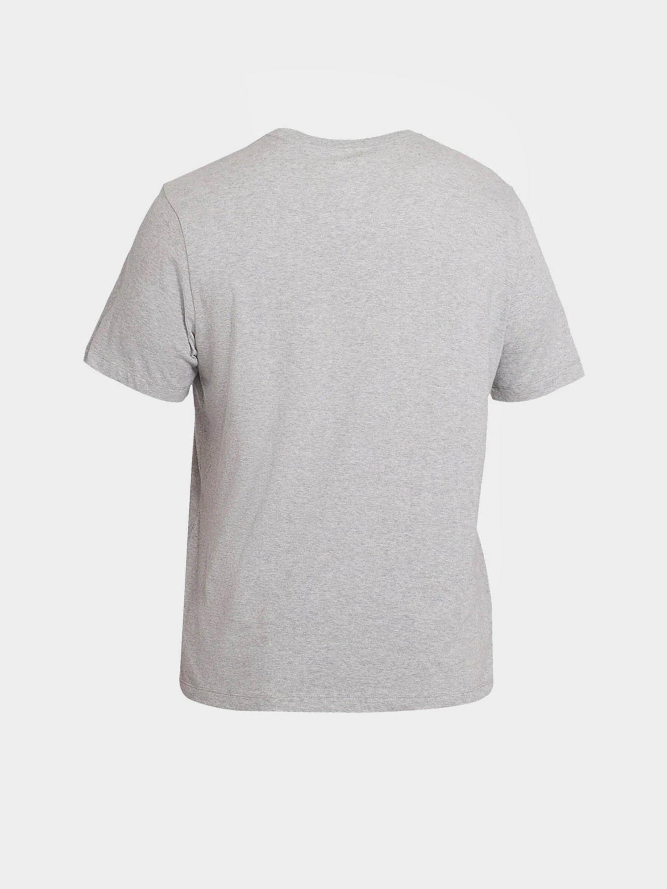 Футболка NIKE ICON FUTURA модель AR5004-063 Фото