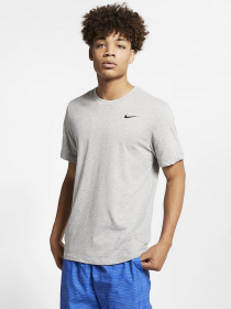 Спортивна футболка NIKE Dri-FIT модель AR6029-063 Фото