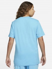 Футболка NIKE Icon Swoosh модель DC5094-442 Фото