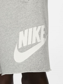 Повсякденні шорти NIKE CLUB ALUMNI модель DX0502-063 Фото