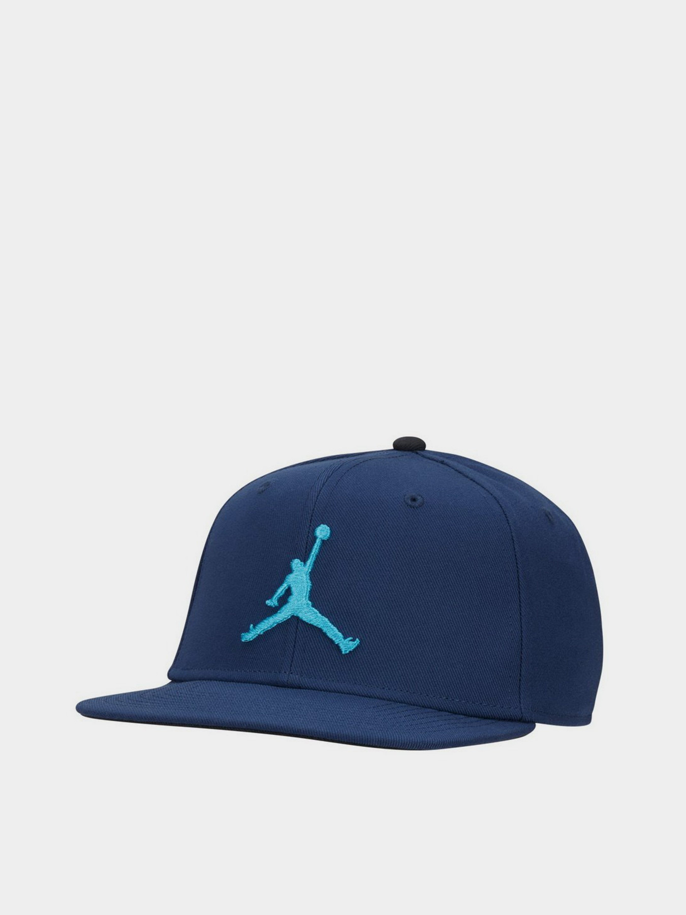 Кепка NIKE Pro Jumpman Snapback модель AR2118-410 Фото