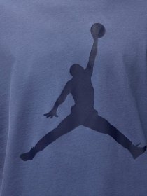 Футболка NIKE Jordan Jumpman модель CJ0921-491 Фото