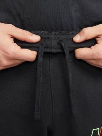 Штани спортивні NIKE Club модель DX0799-010 Фото