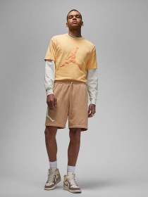 Повсякденні шорти NIKE Jordan Essentials модель DX9667-277 Фото