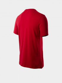 Футболка NIKE Air Jordan Jumpman Dri-FIT модель CW5190-687 Фото