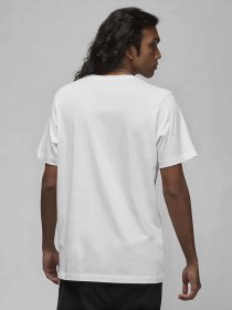 Футболка NIKE Jordan Air модель DV1445-100 Фото