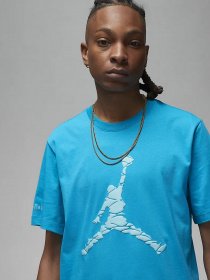 Футболка NIKE Jordan Essentials модель DX9581-483 Фото