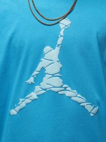 Футболка NIKE Jordan Essentials модель DX9581-483 Фото