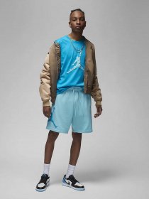 Футболка NIKE Jordan Essentials модель DX9581-483 Фото