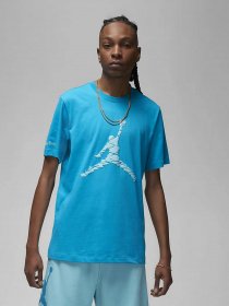 Футболка NIKE Jordan Essentials модель DX9581-483 Фото