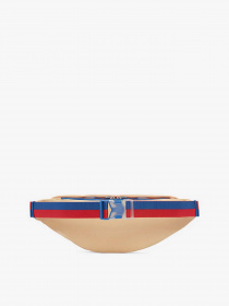 Поясная сумка NIKE Heritage модель DZ6293-266 Поясная сумка NIKE Heritage модель DZ6293-266 Фото