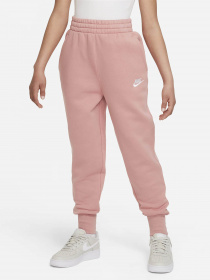 Брюки NIKE Sportswear Club Fleece модель FD2921-618 Фото