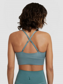 Топ NIKE Indy модель CT3781-387 Фото