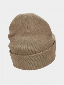 Шапка NIKE Peak Tall Cuff Futura модель FB6528-247 Фото