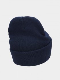 Шапка NIKE Peak Tall Cuff Futura модель FB6528-410 Фото