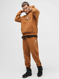 Штаны спортивные NIKE Jordan Essentials Holiday модель FD7467-281 Фото