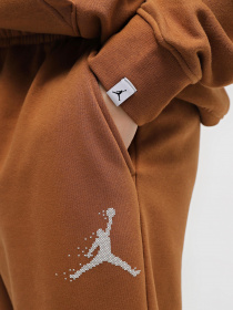 Штаны спортивные NIKE Jordan Essentials Holiday модель FD7467-281 Фото