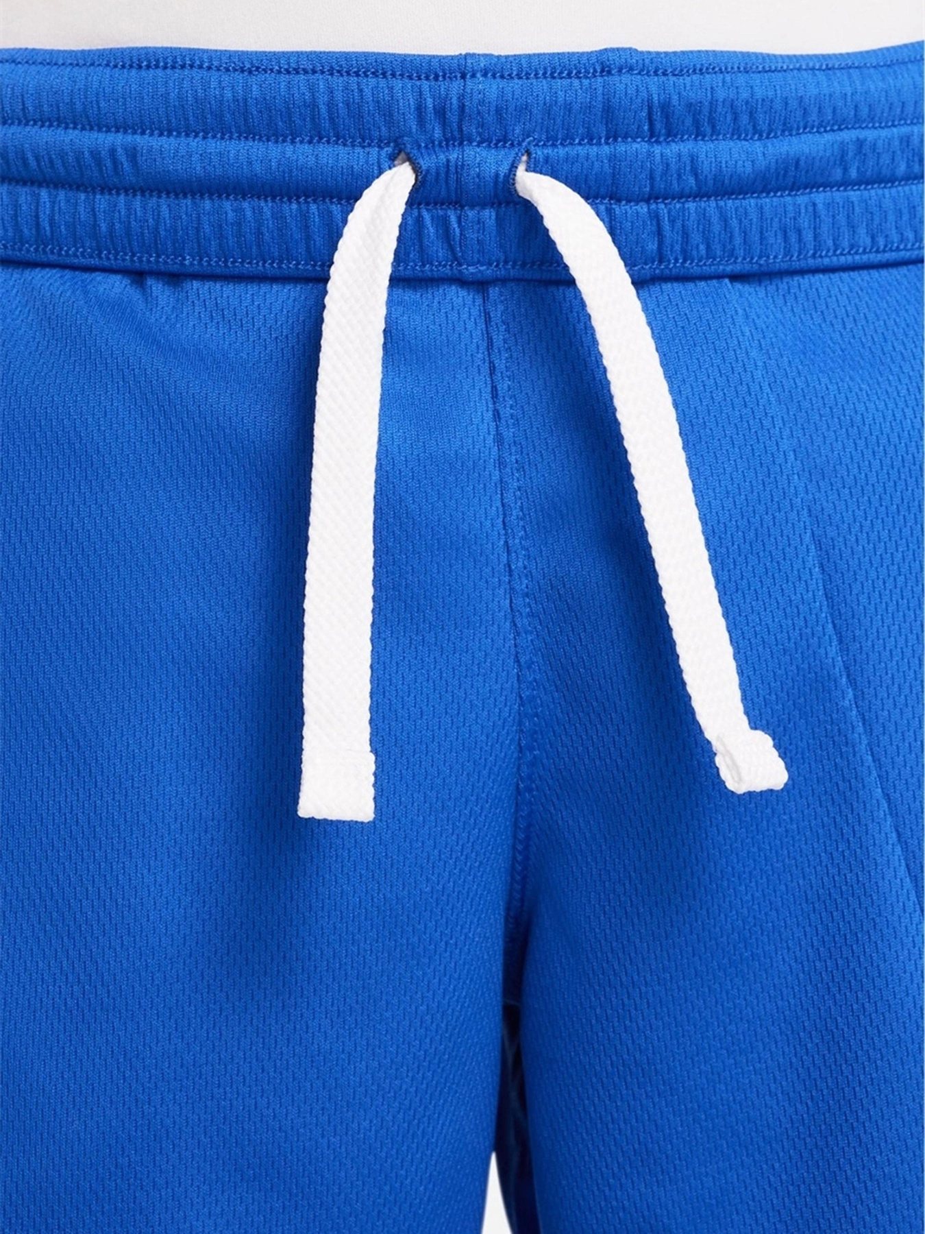 Шорты спортивные NIKE Dri-FIT модель DM8186-480 Фото