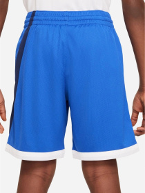 Шорты спортивные NIKE Dri-FIT модель DM8186-480 Фото