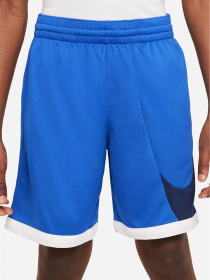 Спортивні шорти NIKE DRI-FIT модель DM8186-480 Фото