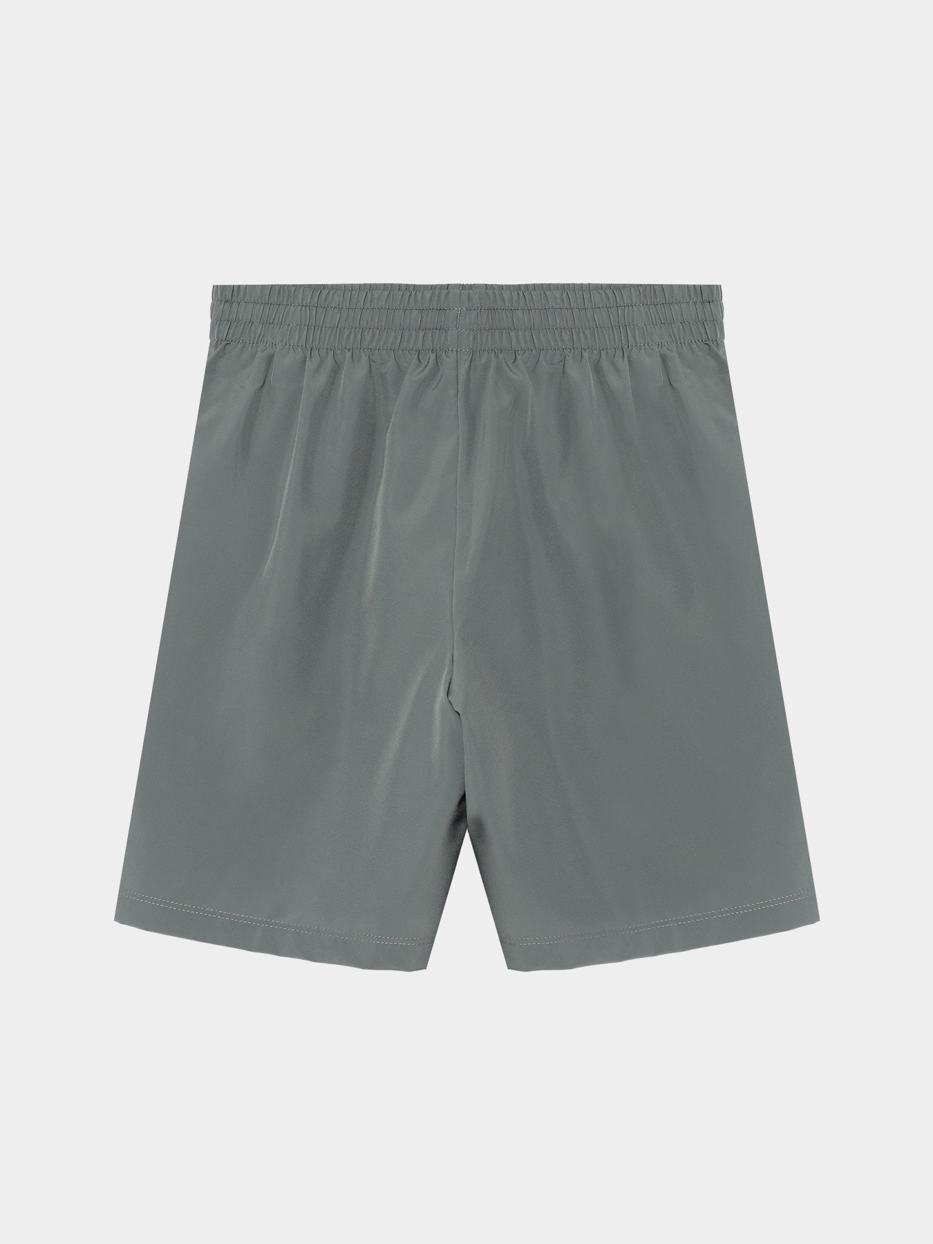 Шорты спортивные NIKE Dri-FIT Training модель DX5382-084 Фото