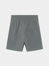 Шорты спортивные NIKE Dri-FIT Training модель DX5382-084 Фото