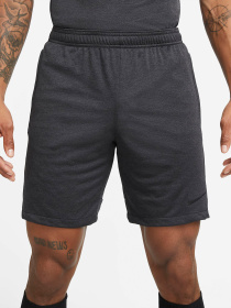 Шорты спортивные NIKE Dri-Fit Academy модель FB6338-010 Фото