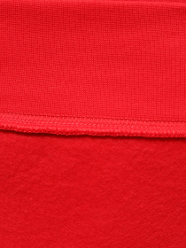 Спортивный костюм NIKE Club Fleece Graphic Hooded модель FB7296-657 Фото