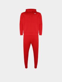 Спортивний костюм NIKE CLUB FLEECE GRAPHIC HOODED модель FB7296-657 Фото