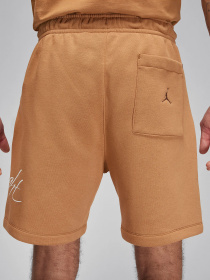 Шорты спортивные NIKE Air Jordan Essential Fleece HBR модель FN4535-231 Фото