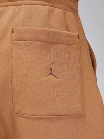 Шорты спортивные NIKE Air Jordan Essential Fleece HBR модель FN4535-231 Фото