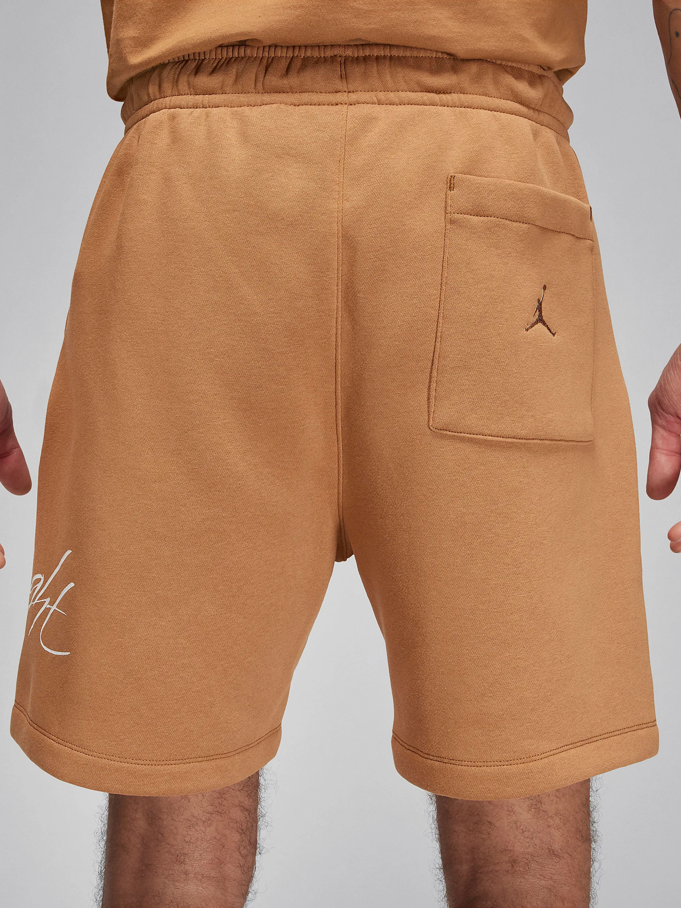 Спортивні шорти NIKE AIR JORDAN ESSENTIAL FLEECE HB модель FN4535-231 Фото