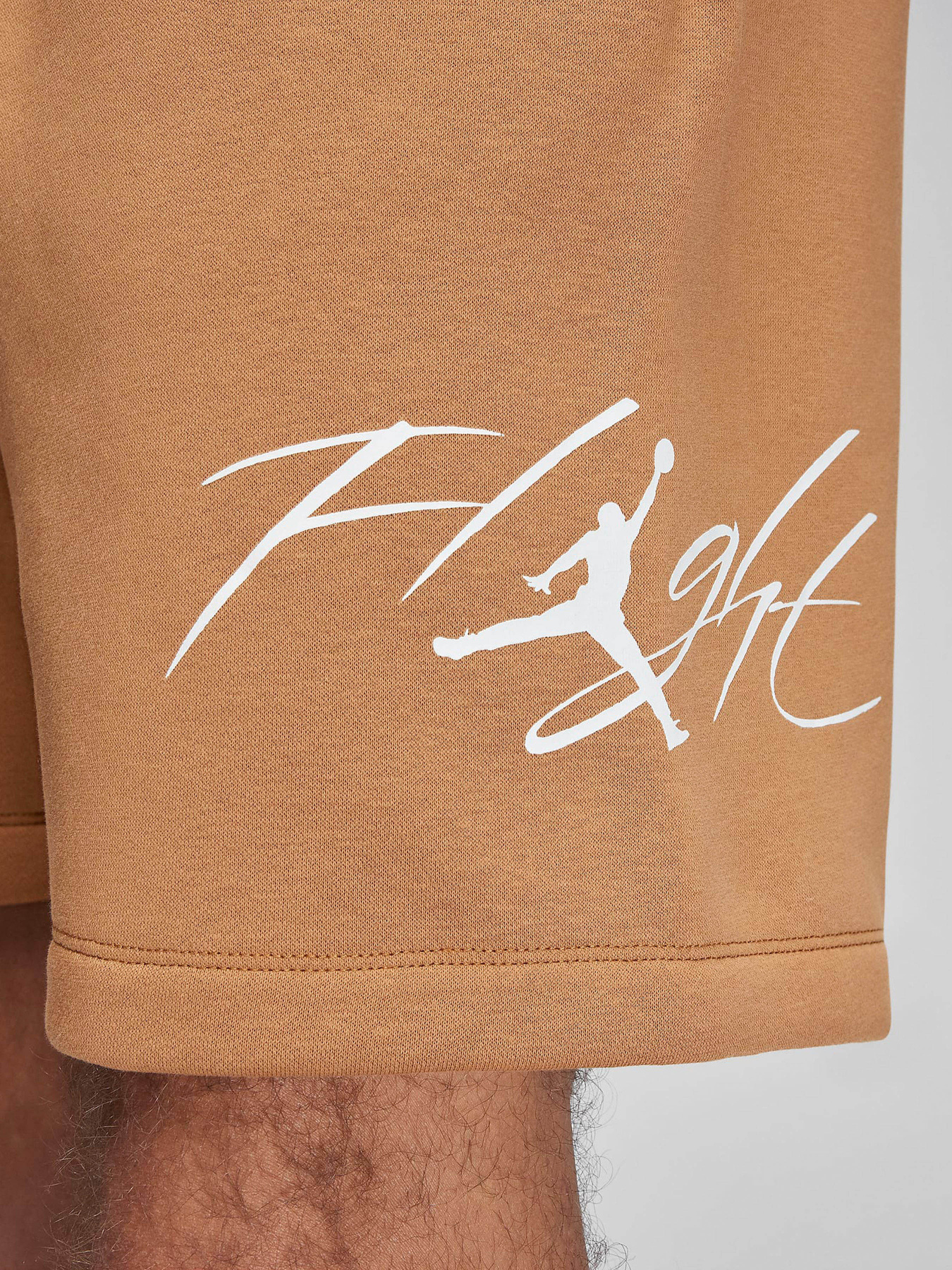 Спортивні шорти NIKE AIR JORDAN ESSENTIAL FLEECE HB модель FN4535-231 Фото