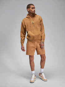 Спортивні шорти NIKE AIR JORDAN ESSENTIAL FLEECE HB модель FN4535-231 Фото