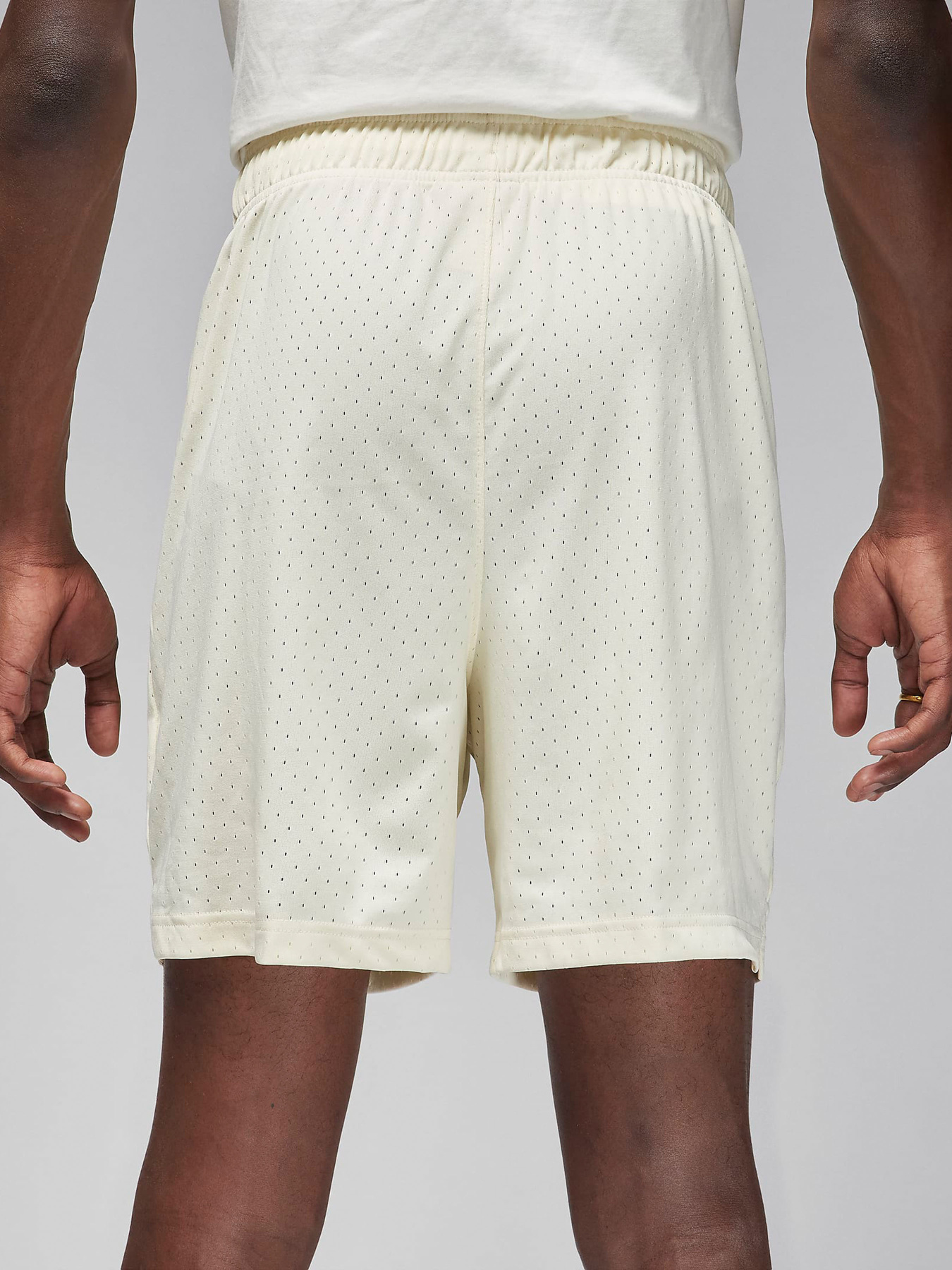 Шорты спортивные NIKE Air Jordan Dri-Fit модель FN5816-113 Фото