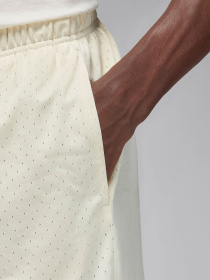 Шорты спортивные NIKE Air Jordan Dri-Fit модель FN5816-113 Фото