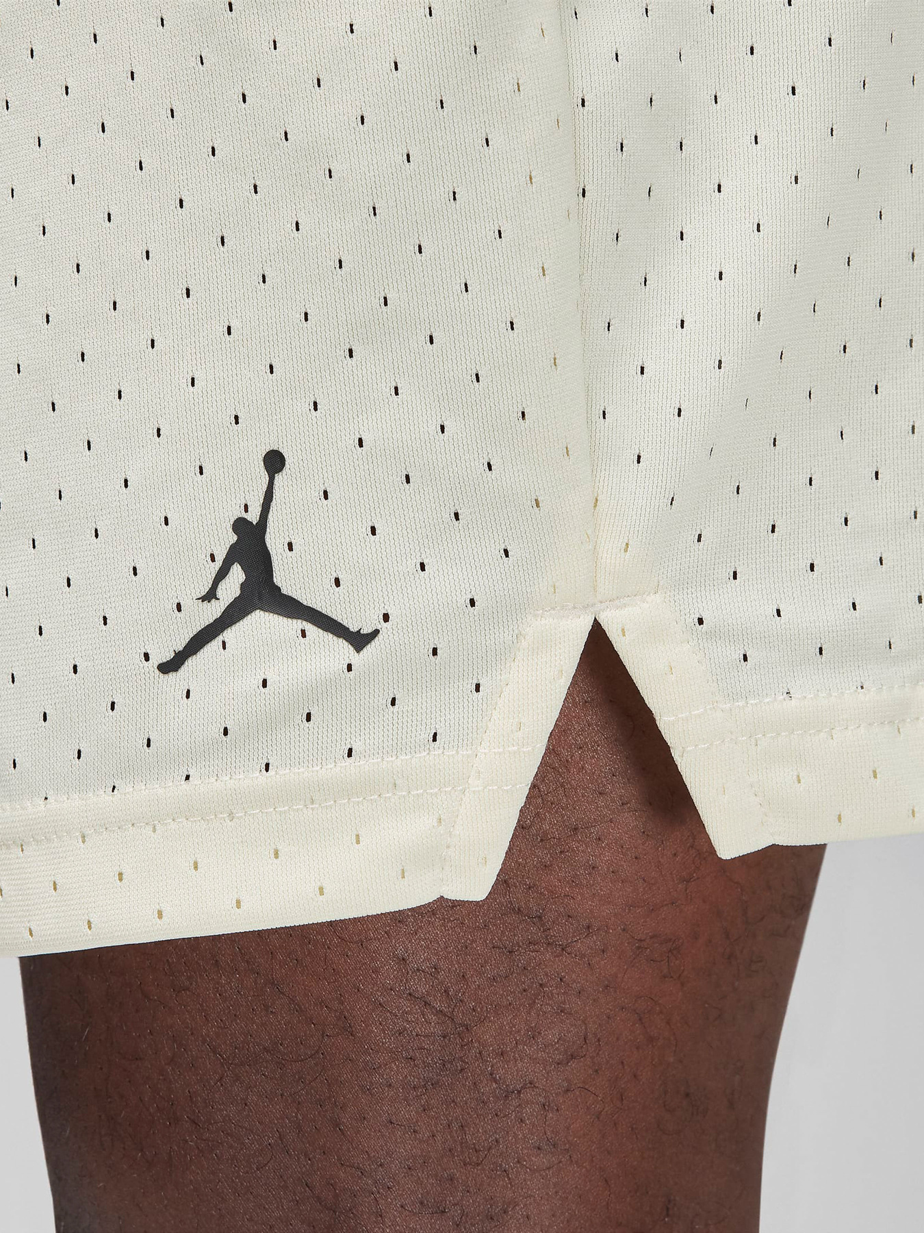 Спортивні шорти NIKE AIR JORDAN DRI-FIT модель FN5816-113 Фото
