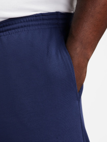 Спортивні шорти NIKE CLUB KNIT SHORT модель FQ4359-410 Фото