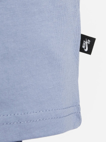 Футболка спортивная NIKE Sb Tee Logo Lbr модель DC7817-493 Фото