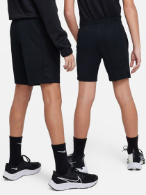 Шорты NIKE Dri-FIT Trophy23 модель DX5413-010 Фото