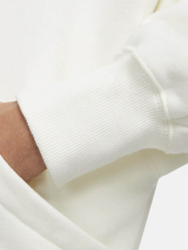 Худі NIKE SPORTSWEAR PHOENIX FLEECE модель DQ5858-133 Худі NIKE SPORTSWEAR PHOENIX FLEECE модель DQ5858-133 Фото