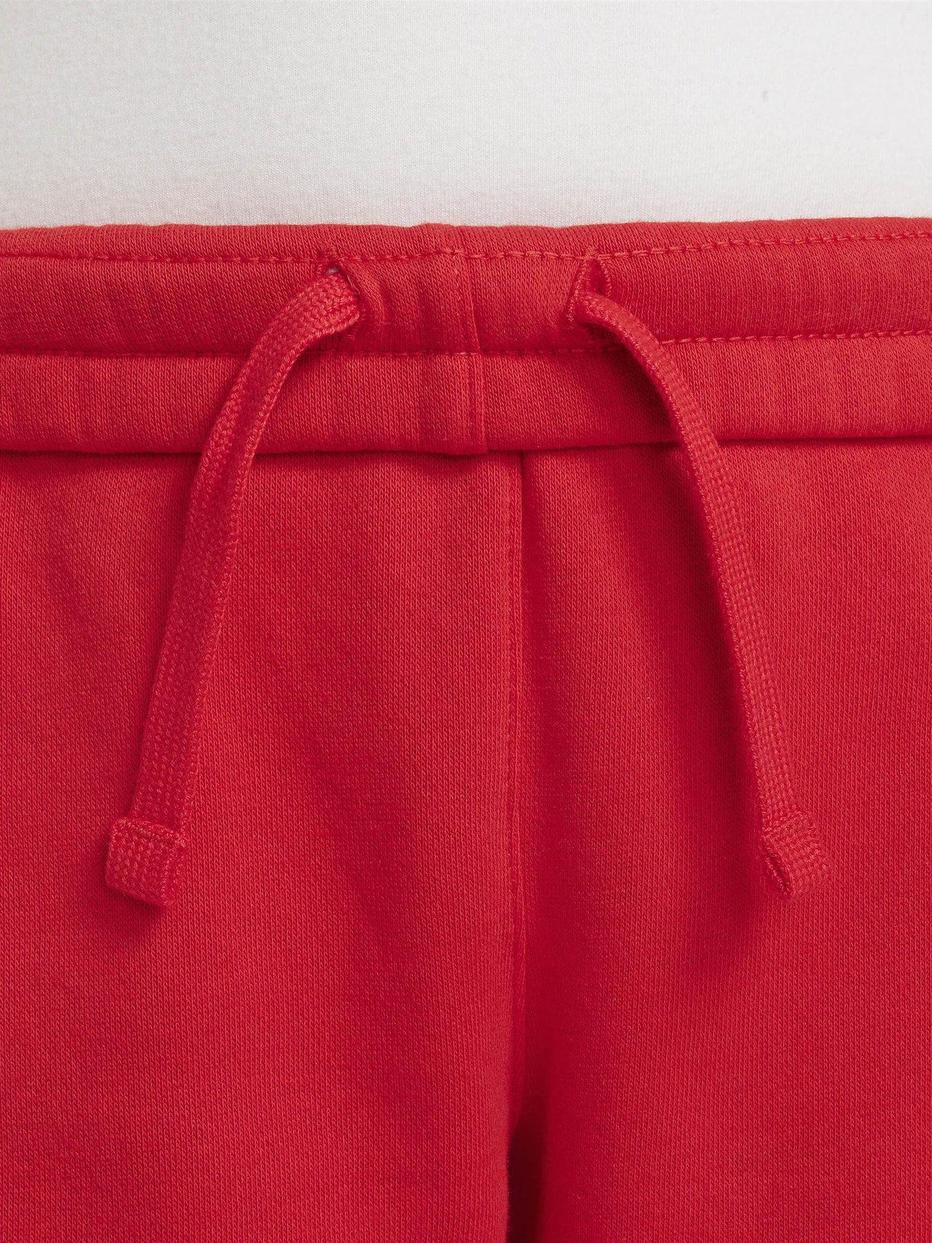 Штани спортивні NIKE Club Fleece модель FD2995-657 Фото