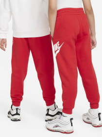 Спортивні штани NIKE CLUB FLEECE модель FD2995-657 Фото