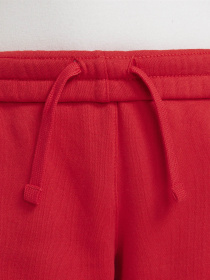 Спортивні штани NIKE CLUB FLEECE модель FD2995-657 Фото