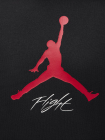 Худі NIKE JORDAN ESSENTIALS модель FD7545-013 Фото