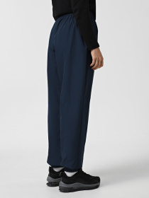 Спортивні штани NIKE SPORTSWEAR ESSENTIAL модель FV7668-478 Фото