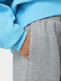 Штани спортивні NIKE Sportswear Phoenix Fleece модель FZ5996-063 Фото